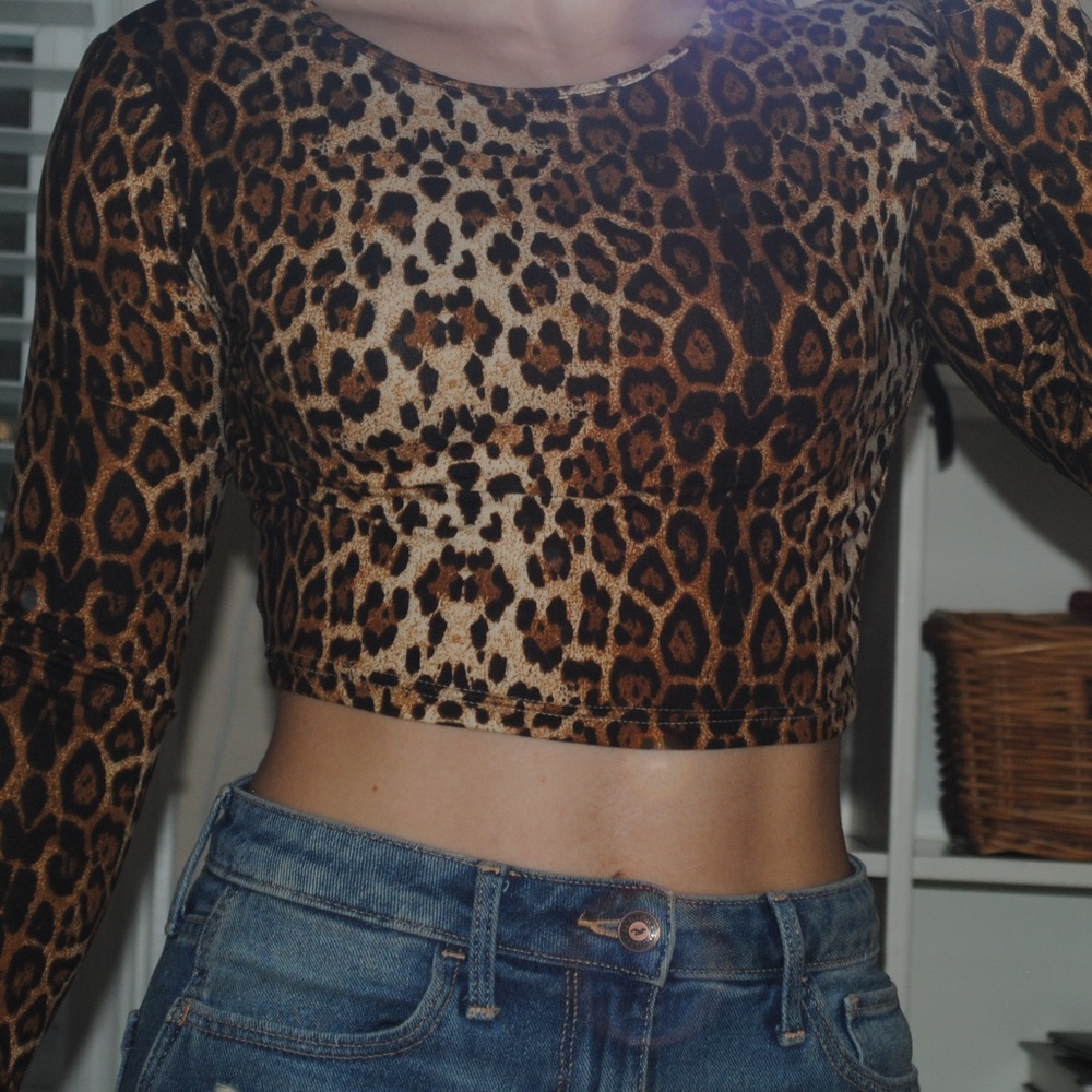 Cheetah Print Long Sleeve Crop Top